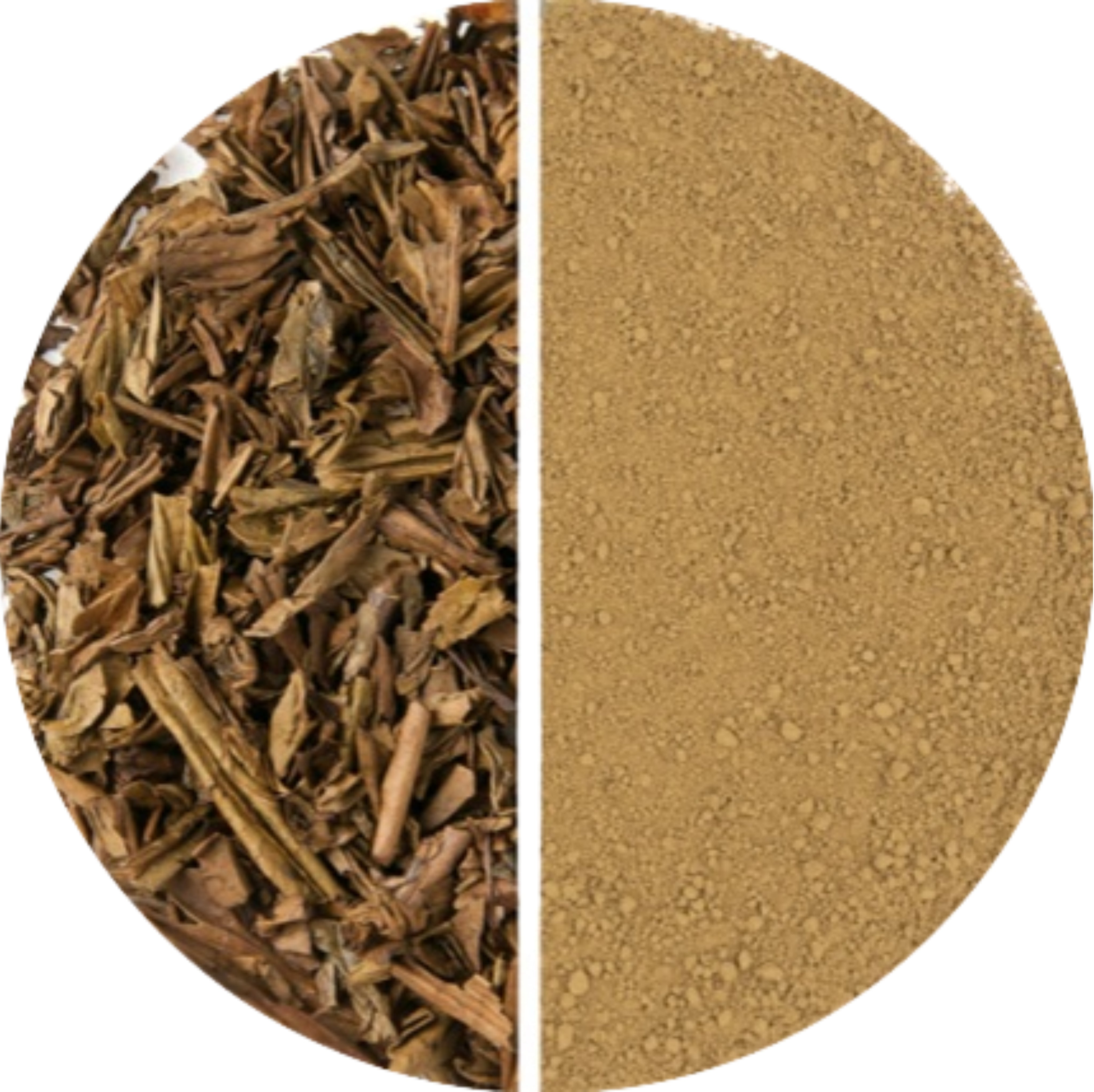 Hojicha Matcha – Elora Tea