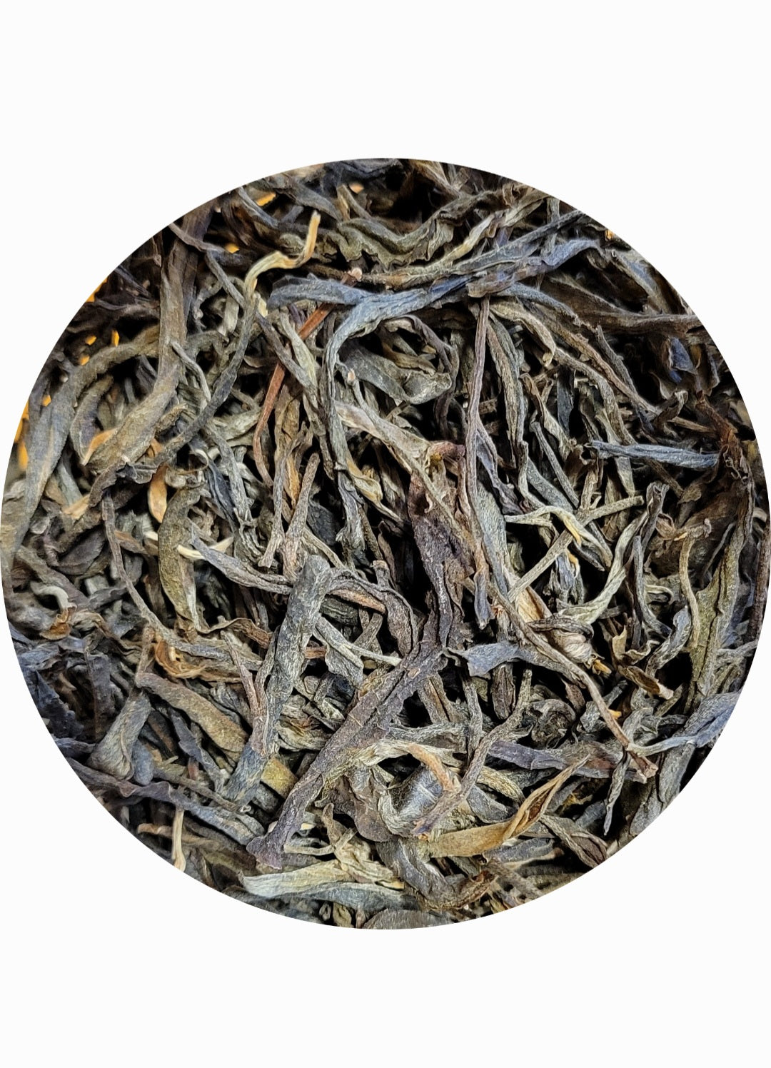 Young Pu-Erh BULK SUPERSALE